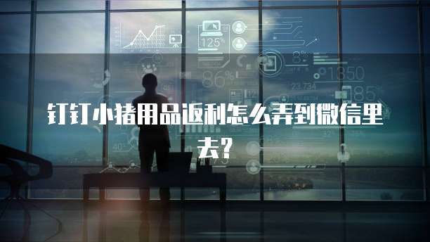 钉钉小猪用品返利怎么弄到微信里去？