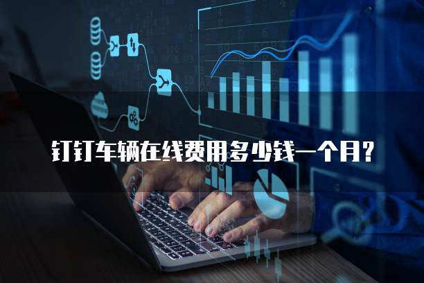 钉钉车辆在线费用多少钱一个月？