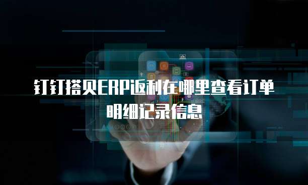 钉钉搭贝ERP返利在哪里查看订单明细记录信息