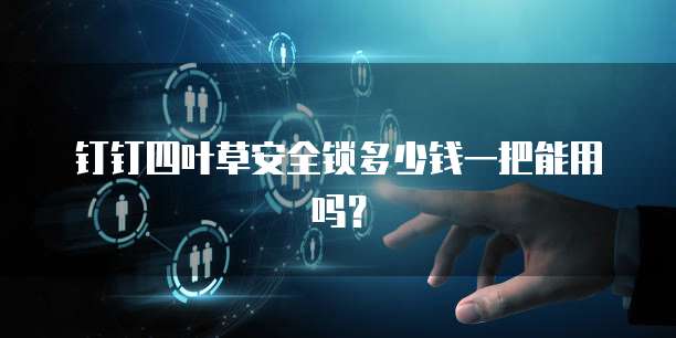 钉钉四叶草安全锁多少钱一把能用吗?