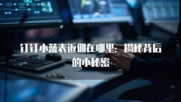 钉钉小蓝表返佣在哪里：揭秘背后的小秘密
