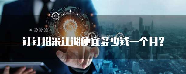 钉钉招采江湖便宜多少钱一个月？