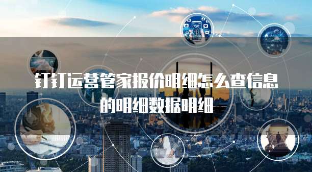 钉钉运营管家报价明细怎么查信息的明细数据明细