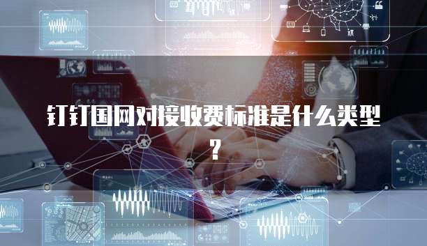 钉钉国网对接收费标准是什么类型？