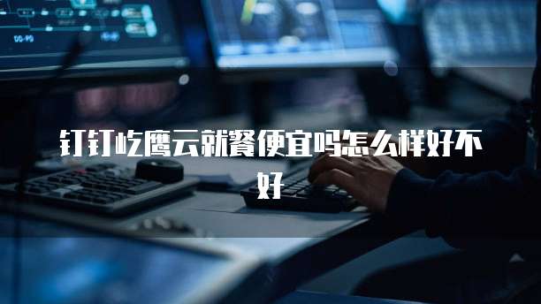 钉钉屹鹰云就餐便宜吗怎么样好不好