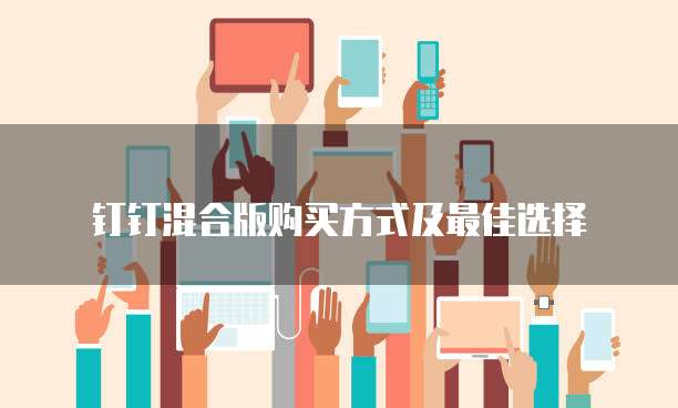钉钉混合版购买方式及最佳选择