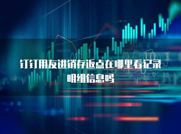 钉钉用友进销存返点在哪里看记录明细信息吗
