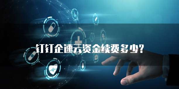 钉钉企速云资金续费多少？