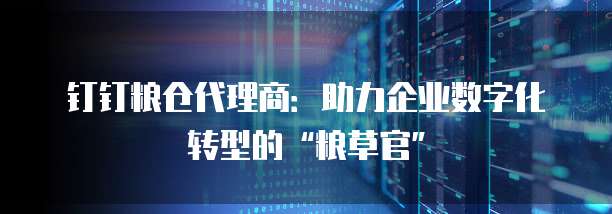 钉钉粮仓代理商：助力企业数字化转型的&ldquo;粮草官&rdquo;