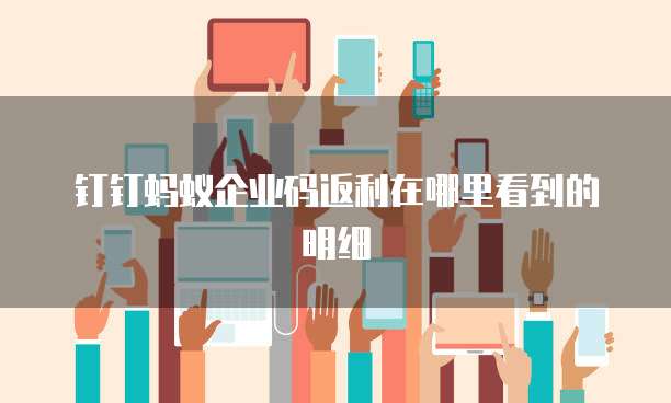 钉钉蚂蚁企业码返利在哪里看到的明细