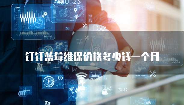 钉钉蓝莓维保价格多少钱一个月