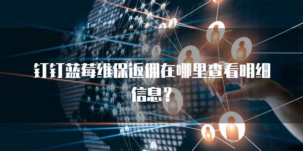 钉钉蓝莓维保返佣在哪里查看明细信息?