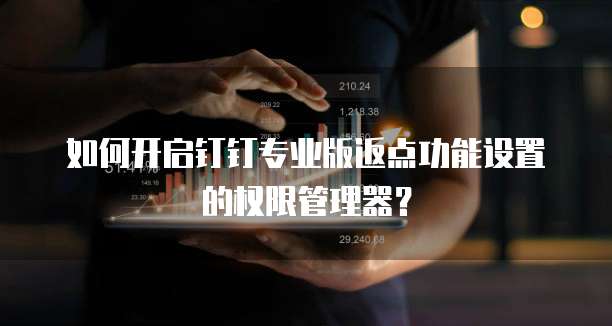 如何开启钉钉专业版返点功能设置的权限管理器？