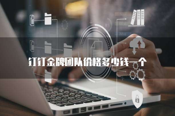 钉钉金牌团队价格多少钱一个