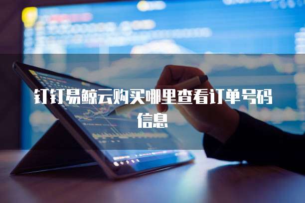 钉钉易鲸云购买哪里查看订单号码信息