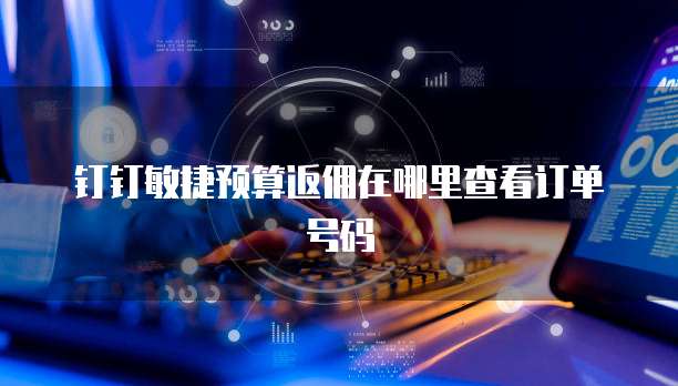 钉钉敏捷预算返佣在哪里查看订单号码