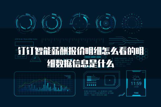 钉钉智能薪酬报价明细怎么看的明细数据信息是什么
