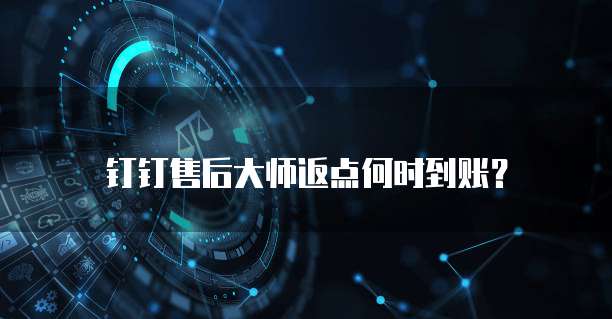 钉钉售后大师返点何时到账?