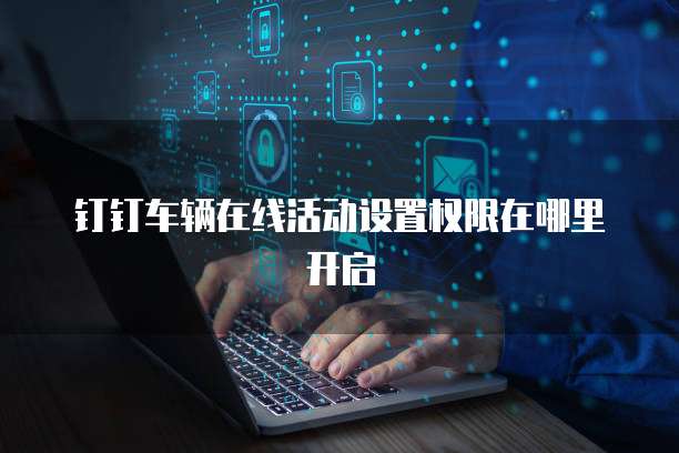钉钉车辆在线活动设置权限在哪里开启
