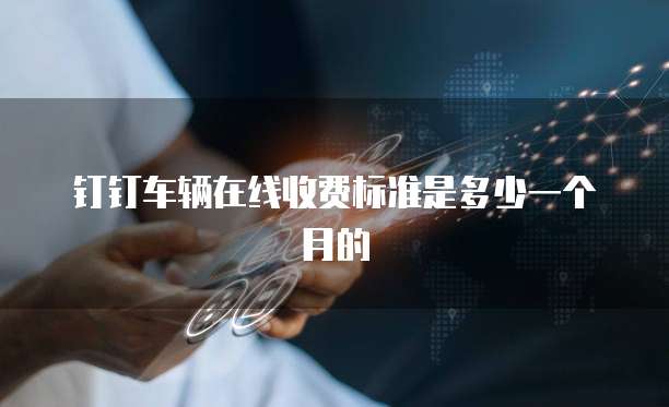 钉钉车辆在线收费标准是多少一个月的