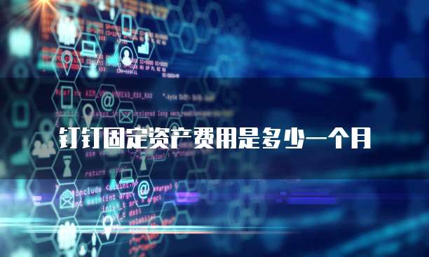 钉钉固定资产费用是多少一个月
