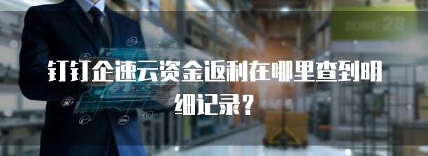 钉钉企速云资金返利在哪里查到明细记录？