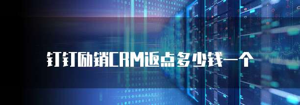 钉钉励销crm返点多少钱一个