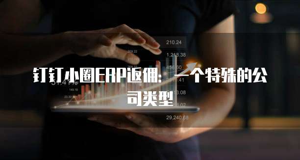 钉钉小圈ERP返佣：一个特殊的公司类型