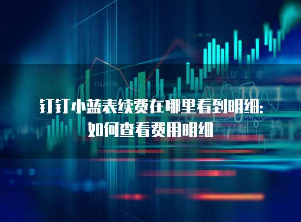 钉钉小蓝表续费在哪里看到明细:如何查看费用明细