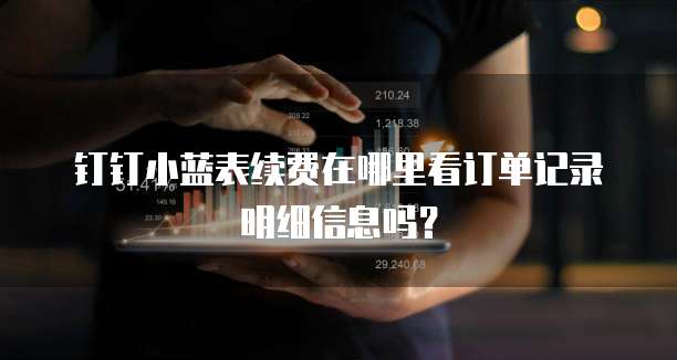 钉钉小蓝表续费在哪里看订单记录明细信息吗?