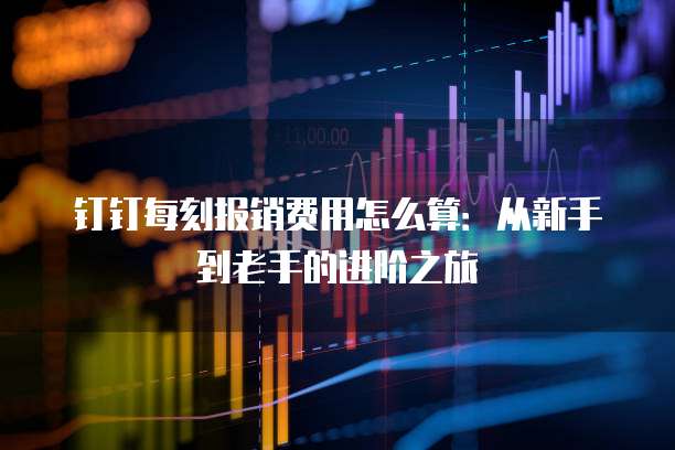 钉钉每刻报销费用怎么算:从新手到老手的进阶之旅