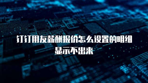 钉钉用友薪酬报价怎么设置的明细显示不出来