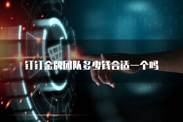 钉钉金牌团队多少钱合适一个吗