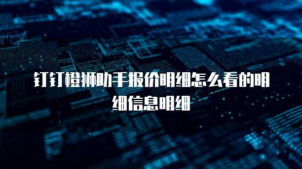 钉钉橙狮助手报价明细怎么看的明细信息明细