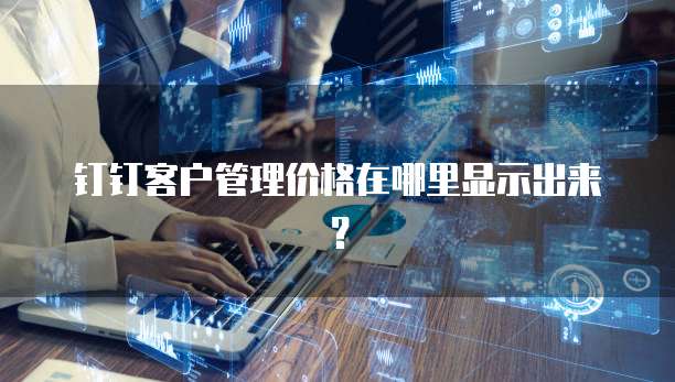 钉钉客户管理价格在哪里显示出来？
