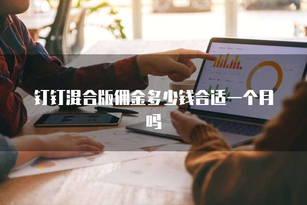 钉钉混合版佣金多少钱合适一个月吗