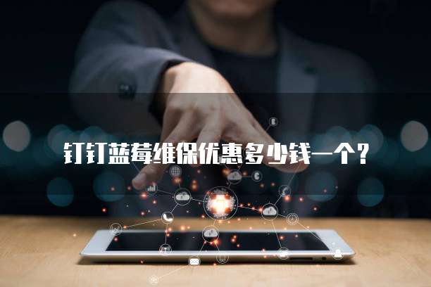 钉钉蓝莓维保优惠多少钱一个?