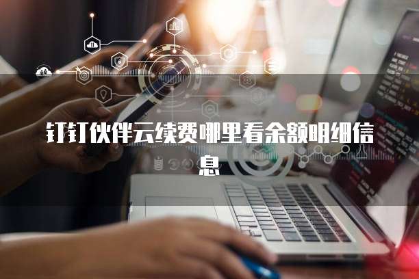 钉钉伙伴云续费哪里看余额明细信息