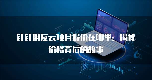 钉钉用友云项目报价在哪里：揭秘价格背后的故事