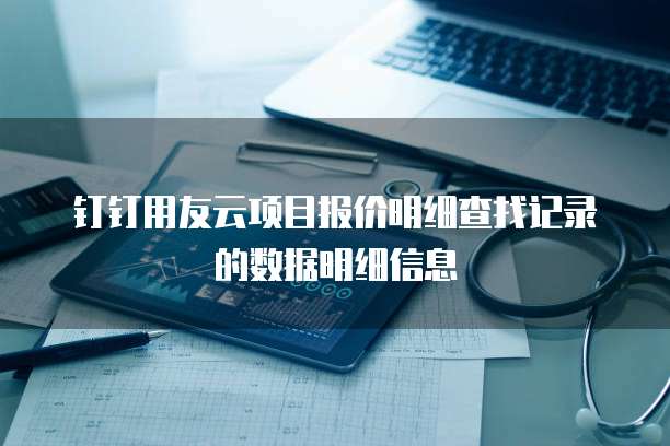 钉钉用友云项目报价明细查找记录的数据明细信息