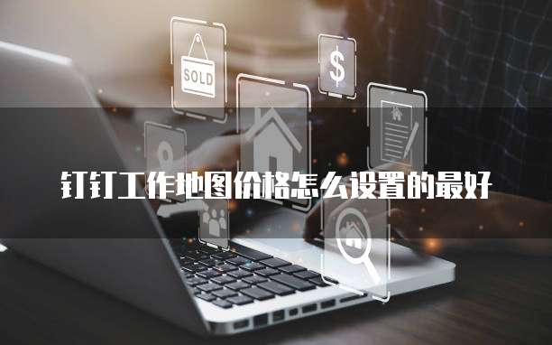 钉钉工作地图价格怎么设置的最好