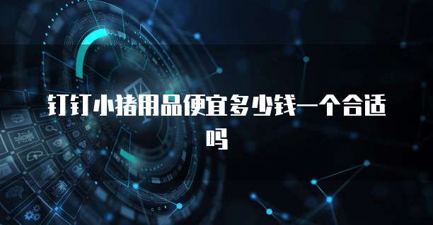 钉钉小猪用品便宜多少钱一个合适吗