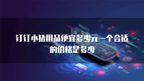 钉钉小猪用品便宜多少元一个合适的价格是多少
