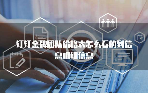 钉钉金牌团队价格表怎么看的到信息明细信息