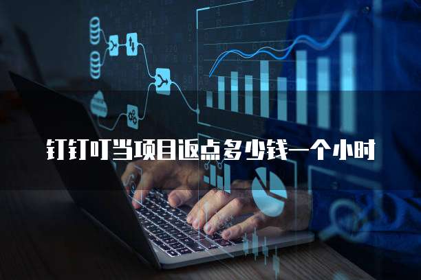 钉钉叮当项目返点多少钱一个小时