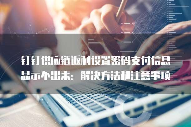 钉钉供应链返利设置密码支付信息显示不出来:解决方法和注意事项