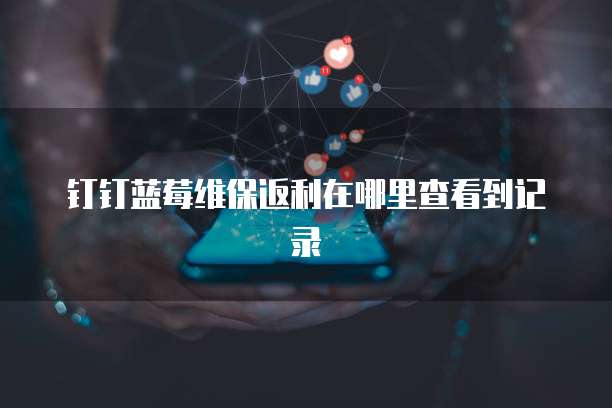 钉钉蓝莓维保返利在哪里查看到记录