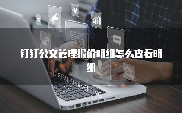 钉钉公文管理报价明细怎么查看明细