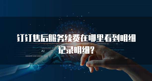 钉钉售后服务续费在哪里看到明细记录明细?
