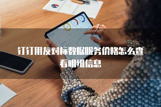 钉钉用友对标数据服务价格怎么查看明细信息